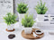  decoration-murale-fleurs-vertes-artificielles